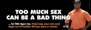 Peta Werbung Tiger Woods tigerwoods 300x99 Testimonials: Auch Tiger können lahme Enten sein